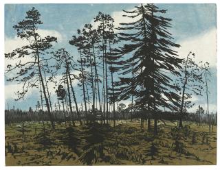 Anna Ostroumova-Lebedeva - Finland with a blue sky; and Seven views of the countryside