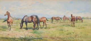 Anna Palm de Rosa - Grazing horses