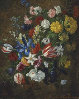 Anna Stanchi - Tulips, irises, daffodils, carnations, hyacinths and other flowers