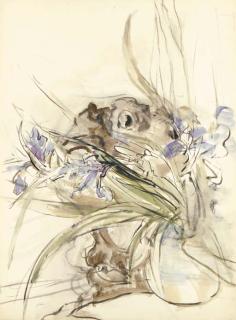 Anna Ticho - Irises