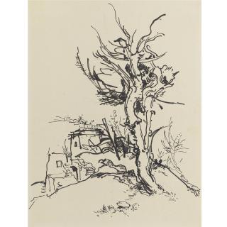 Anna Ticho - Israeli Landscape