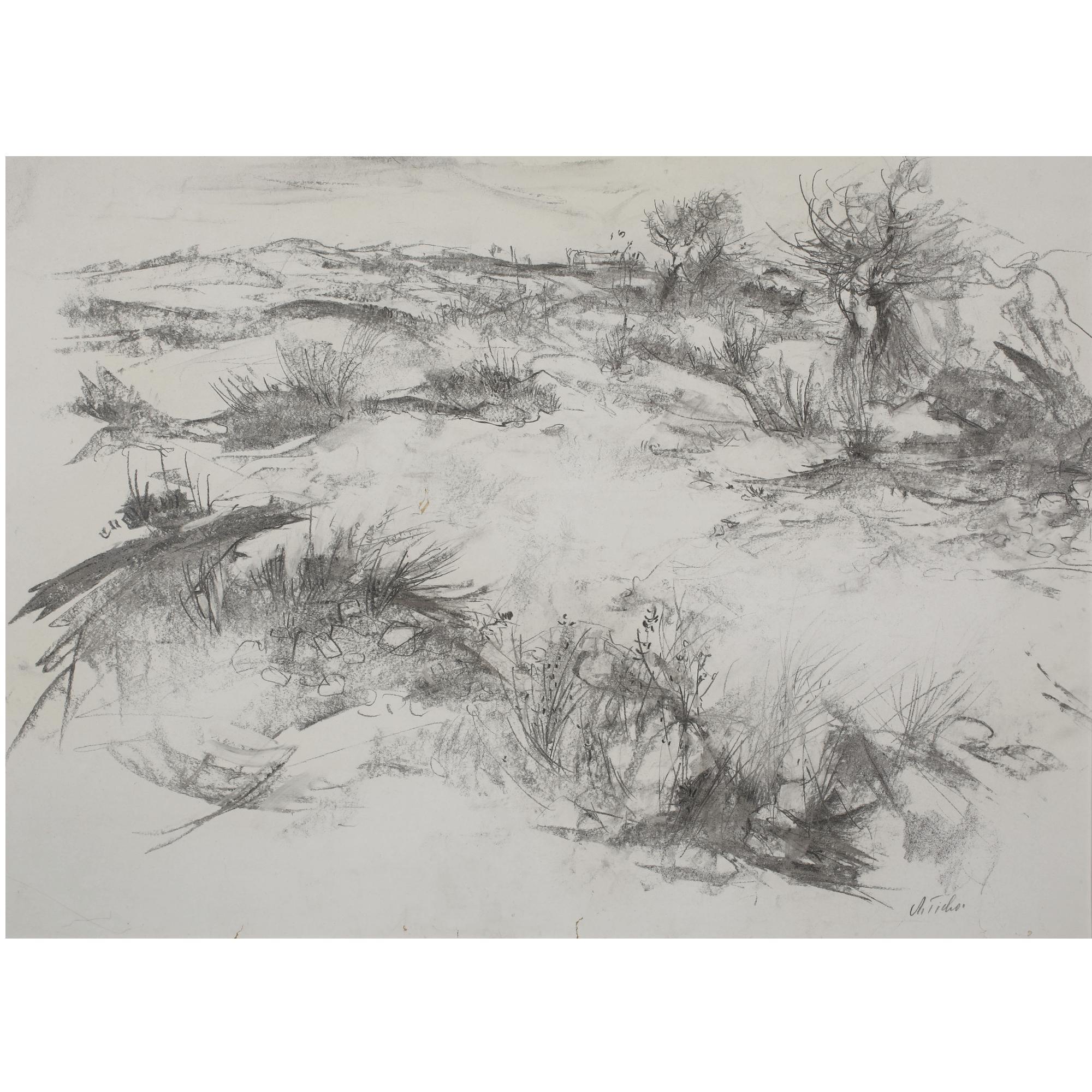 Anna Ticho - Landscape