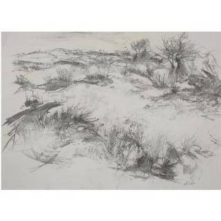 Anna Ticho - Landscape