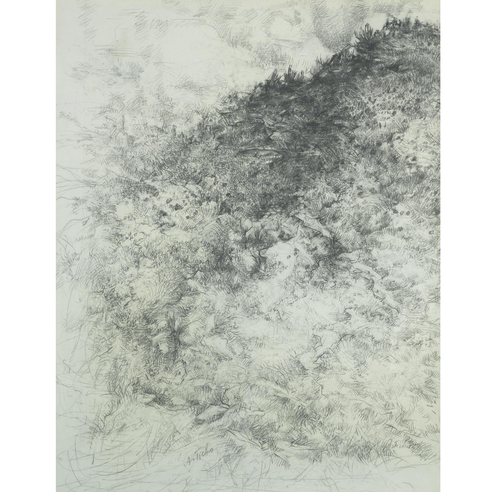 Anna Ticho - The Burning Bush