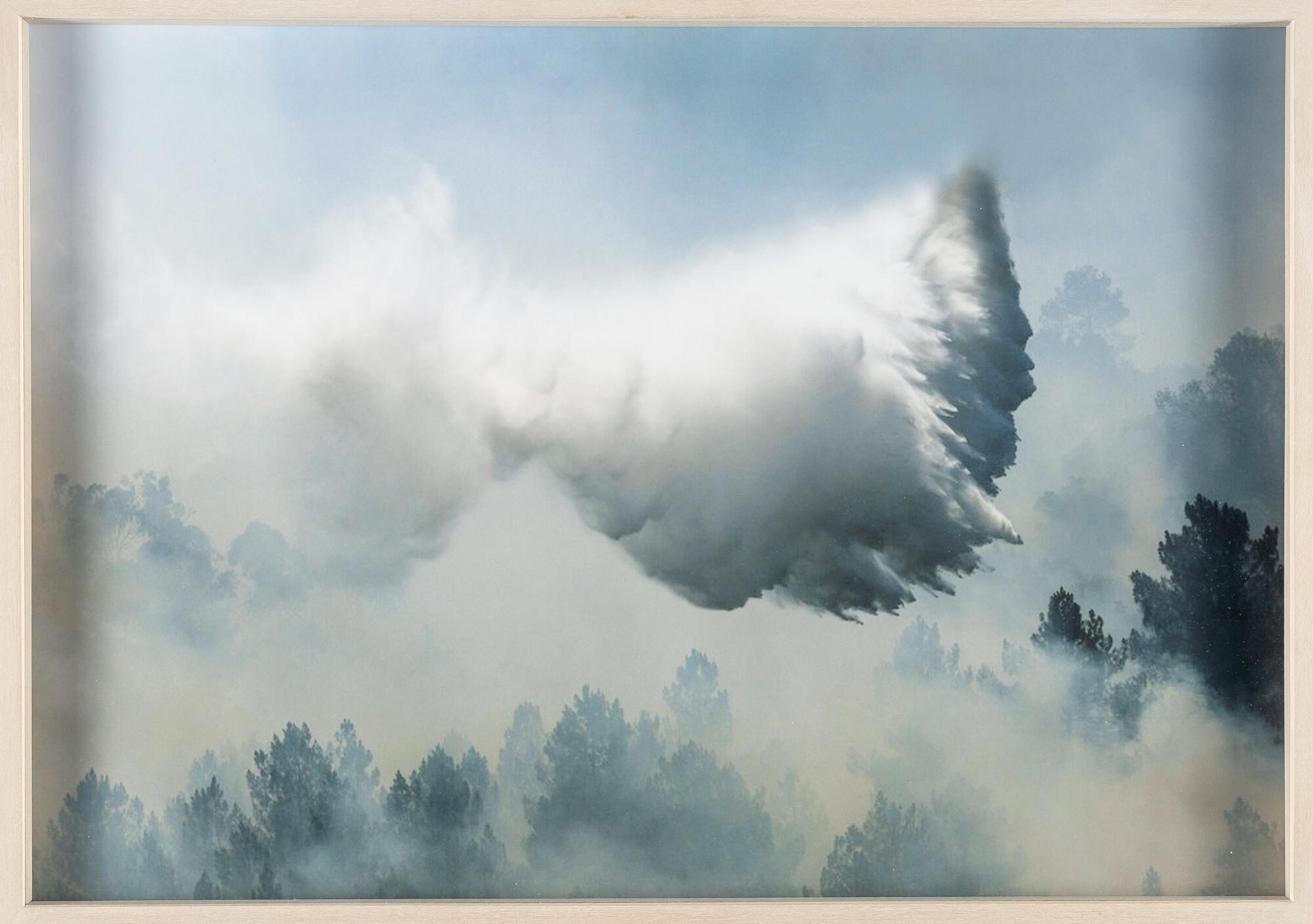 Anna Vogel - Ignifer X