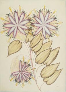 Anna Zemankova - Untitled (Flowers)