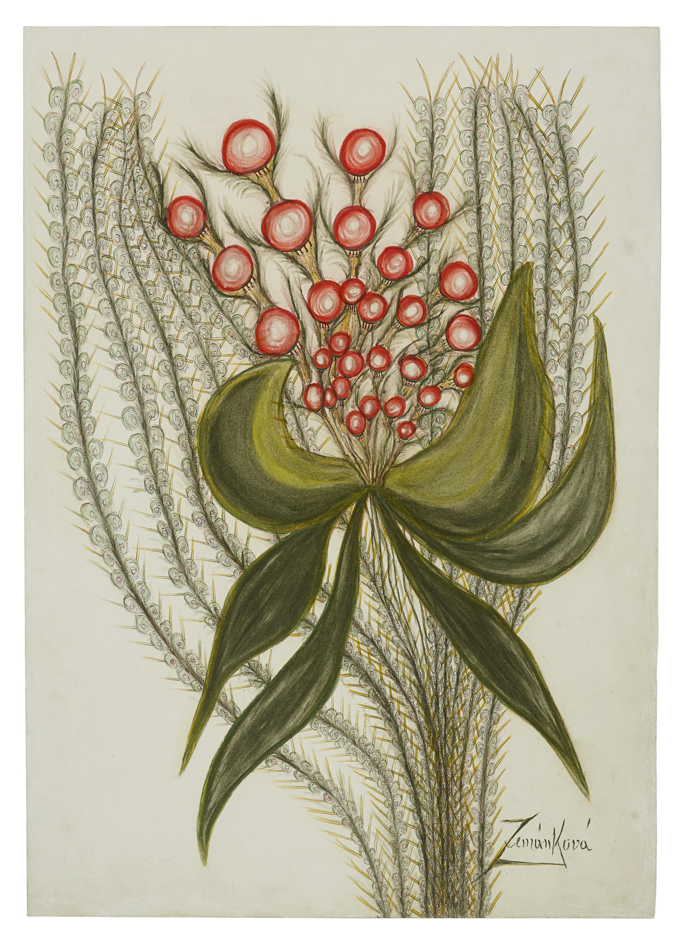 Anna Zemankova - Untitled