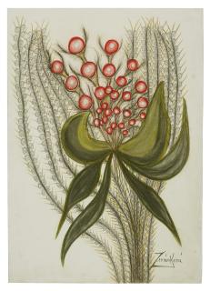 Anna Zemankova - Untitled