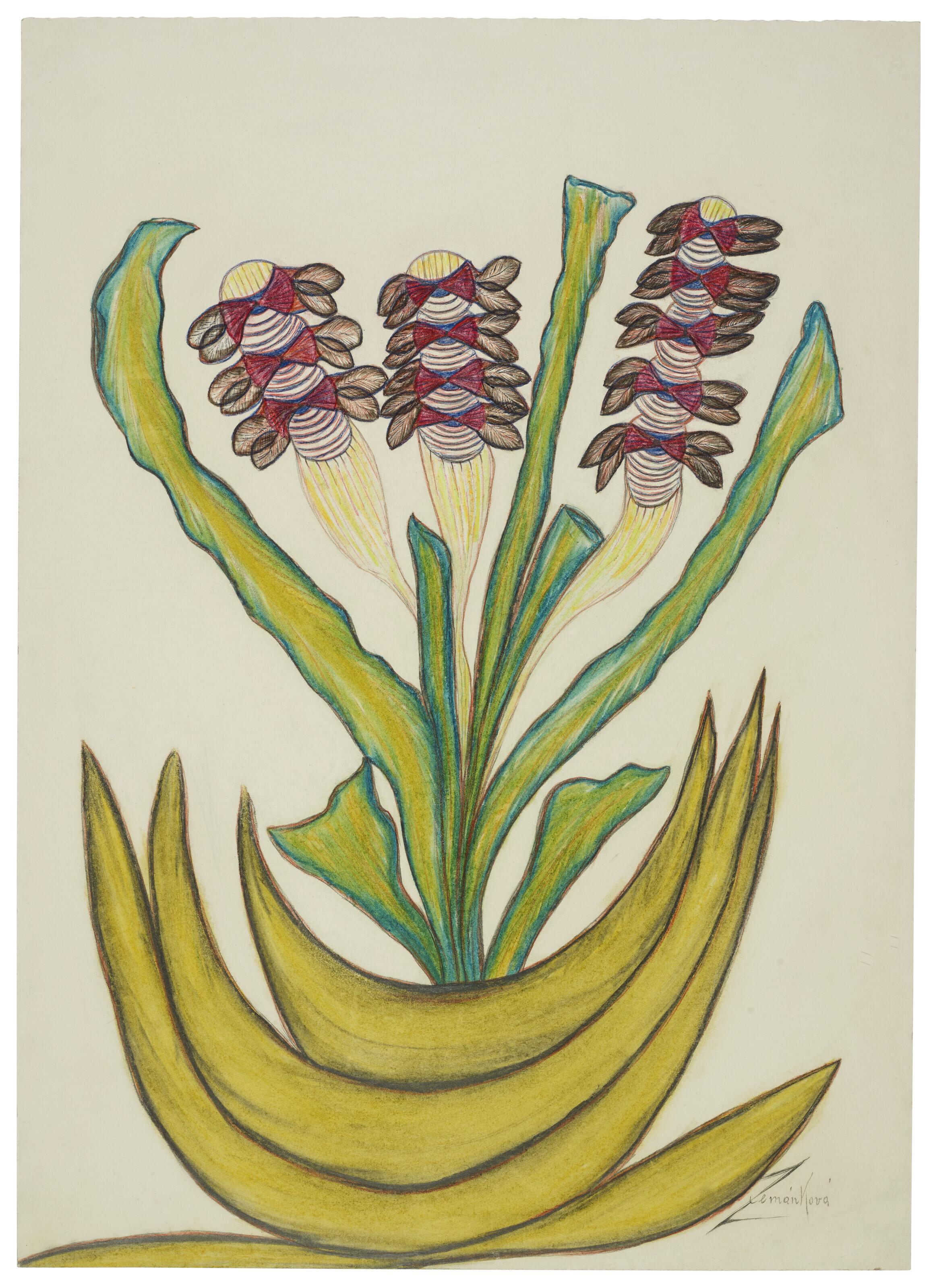 Anna Zemankova - Untitled