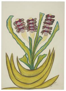 Anna Zemankova - Untitled