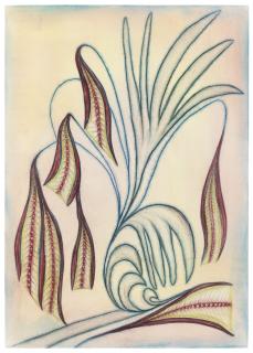 Anna Zemankova - Untitled