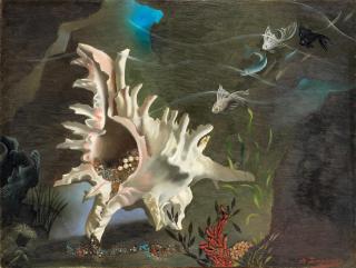 Anna Zinkeisen - Shell Form