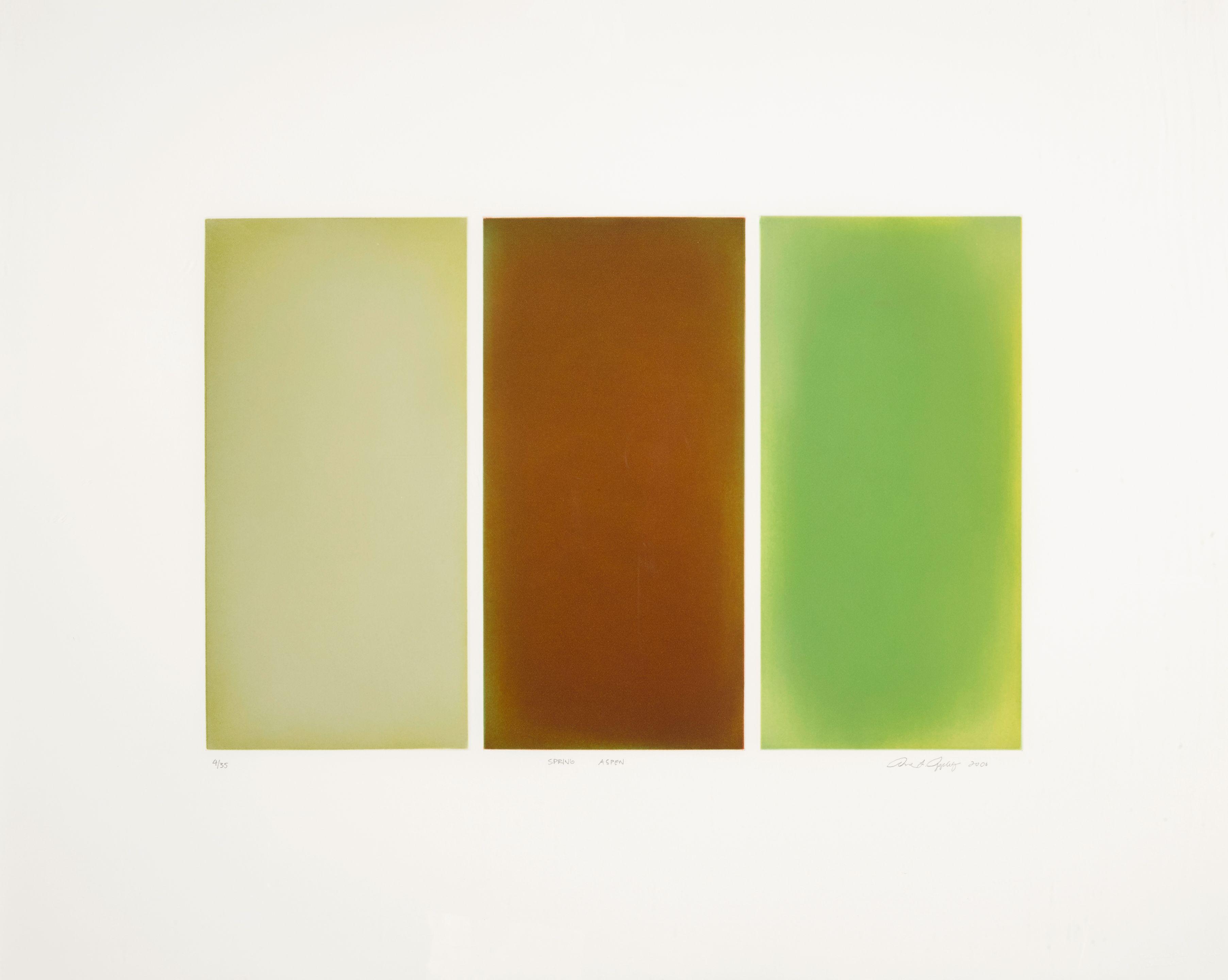 Anne Appleby - Spring Aspen