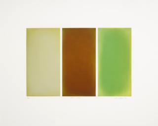 Anne Appleby - Spring Aspen