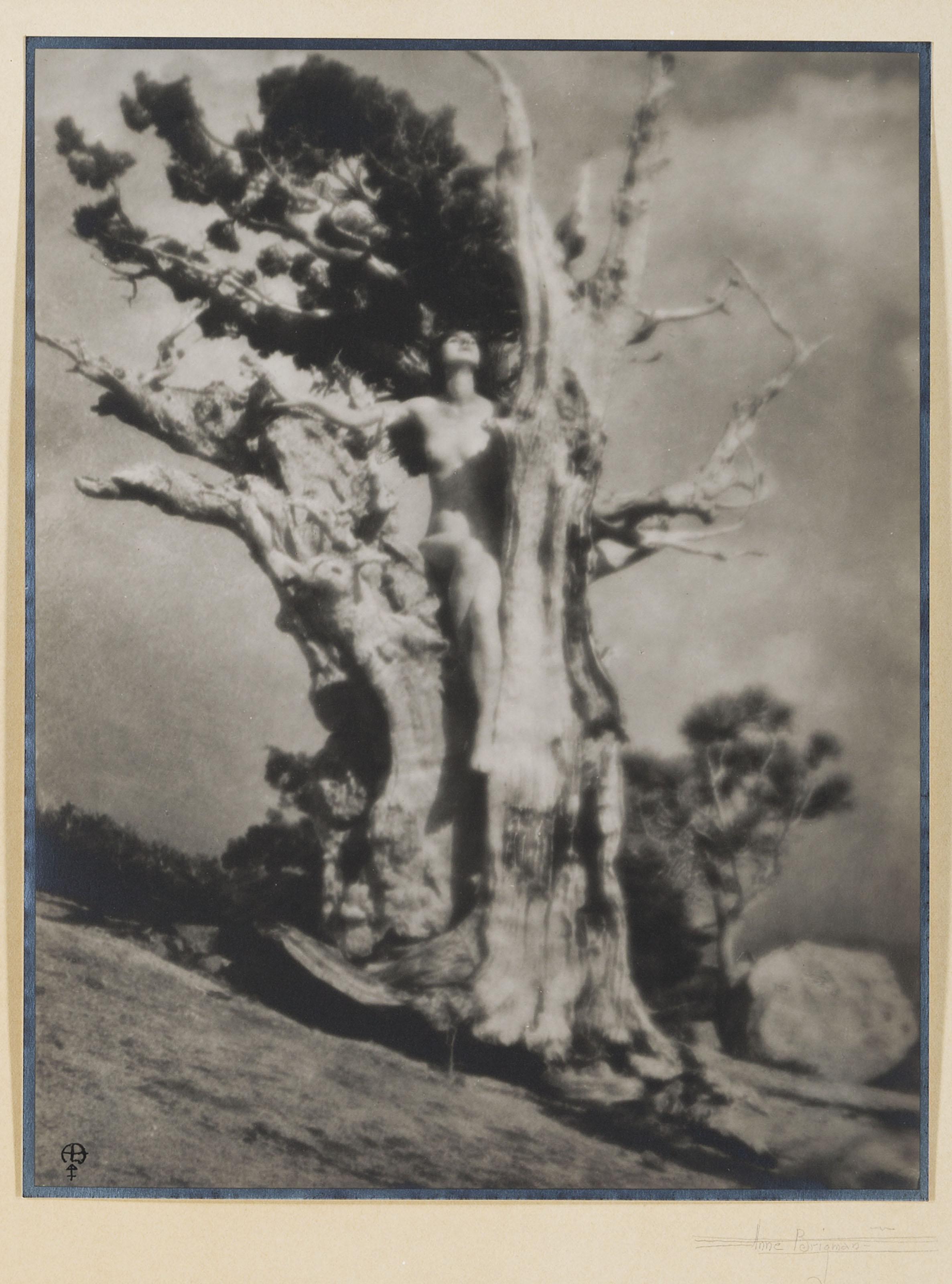 Anne Brigman - Invictus, c. 1924