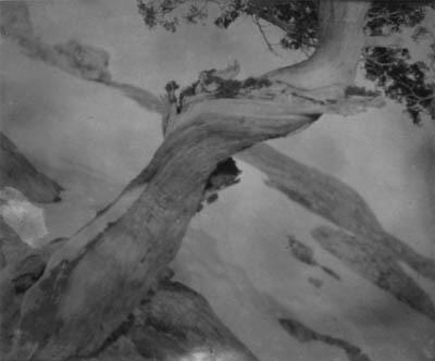 Anne Brigman - Rythm [sic]