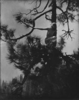 Anne Brigman - The Dryad