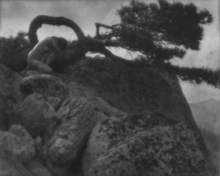 Anne Brigman - The Lone Pine