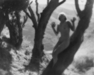 Anne Brigman - The Tree-Frog