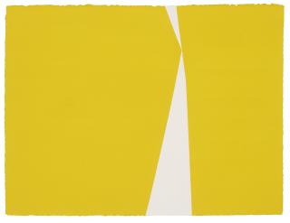 Anne Truitt - Truitt \'91