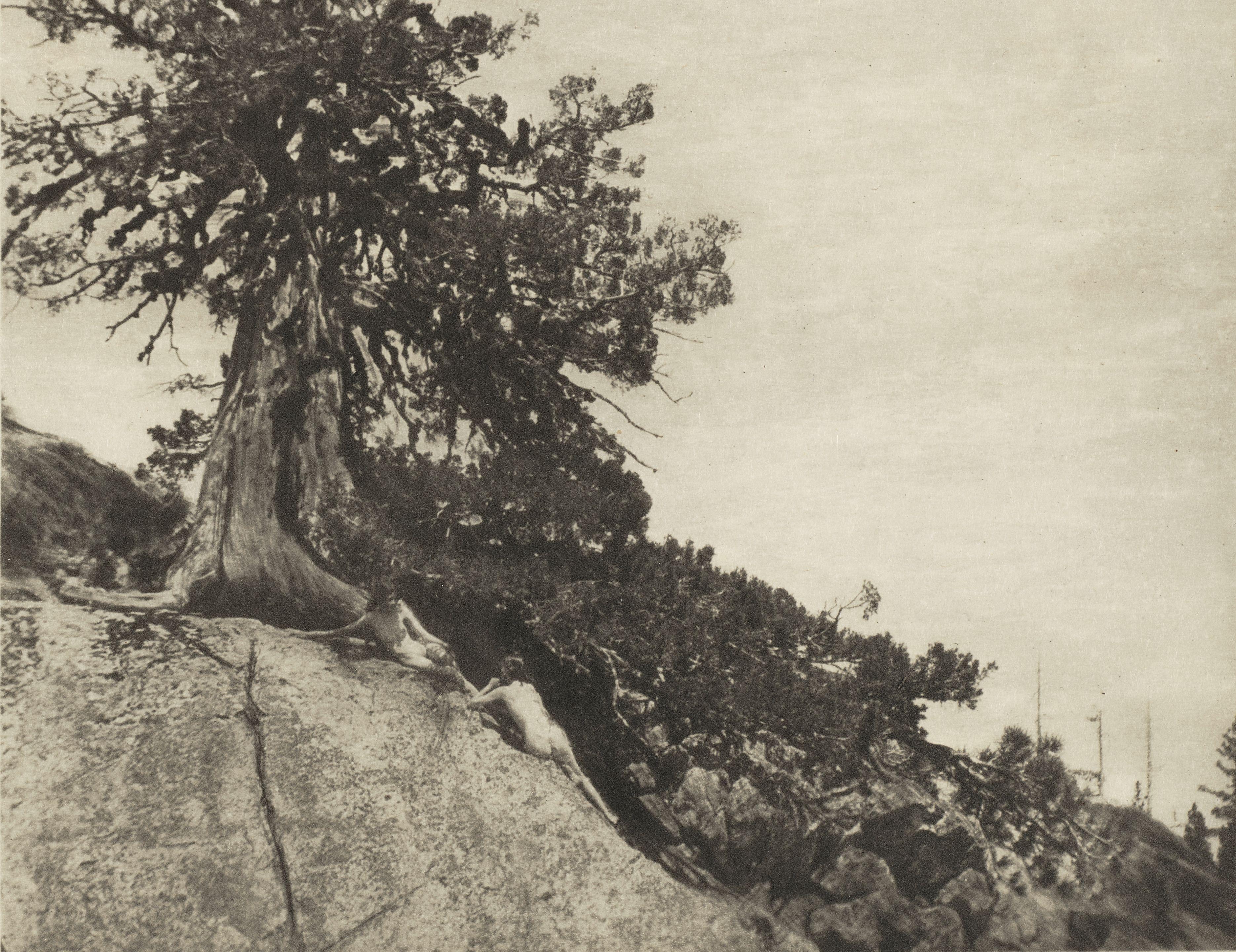 Anne W. Brigman - Dryads (from \'Camera Work\' No. 44)