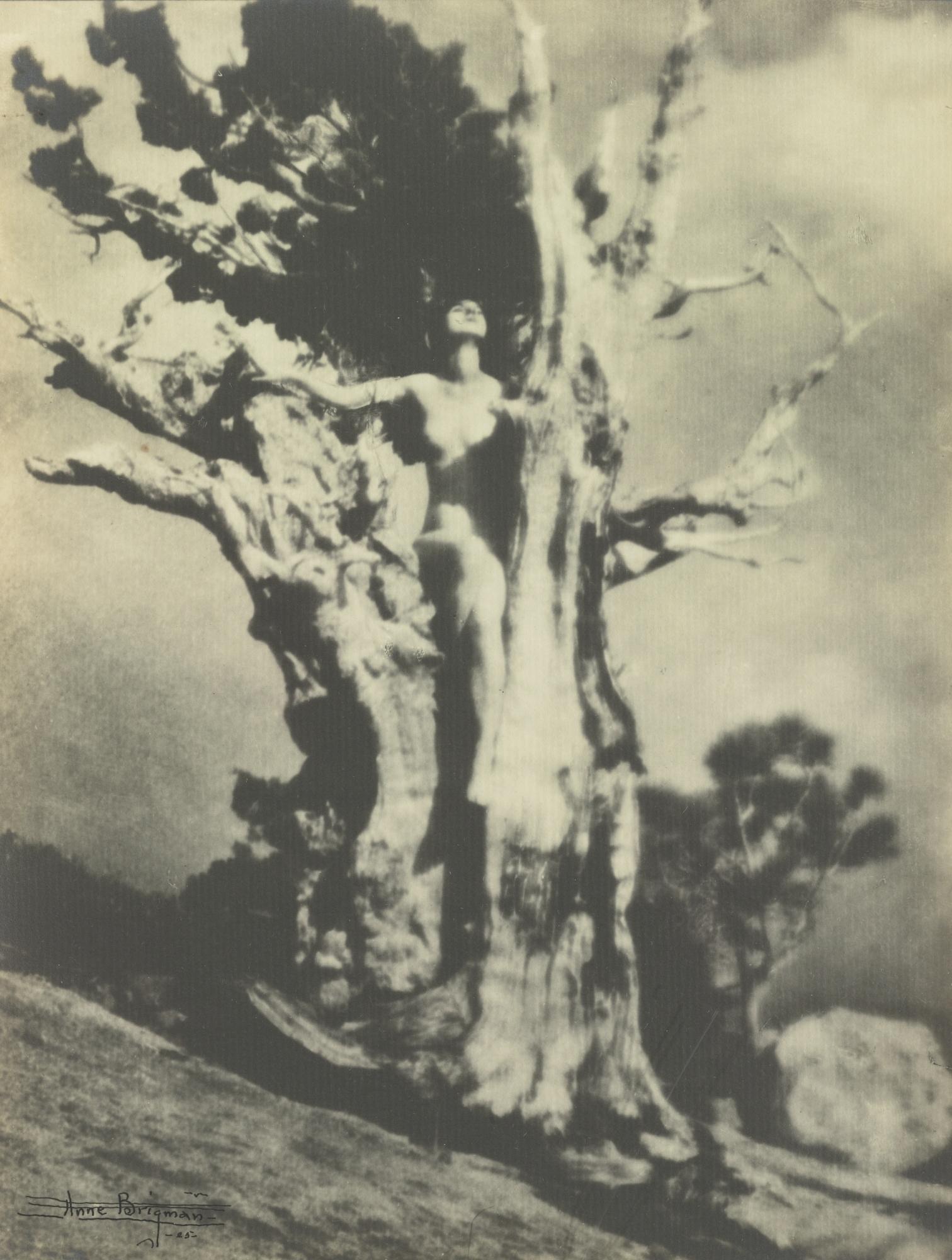 Anne W. Brigman - \'Invictus\'