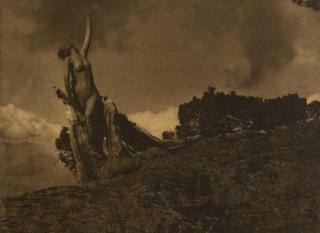 Anne W. Brigman - Selected Images
