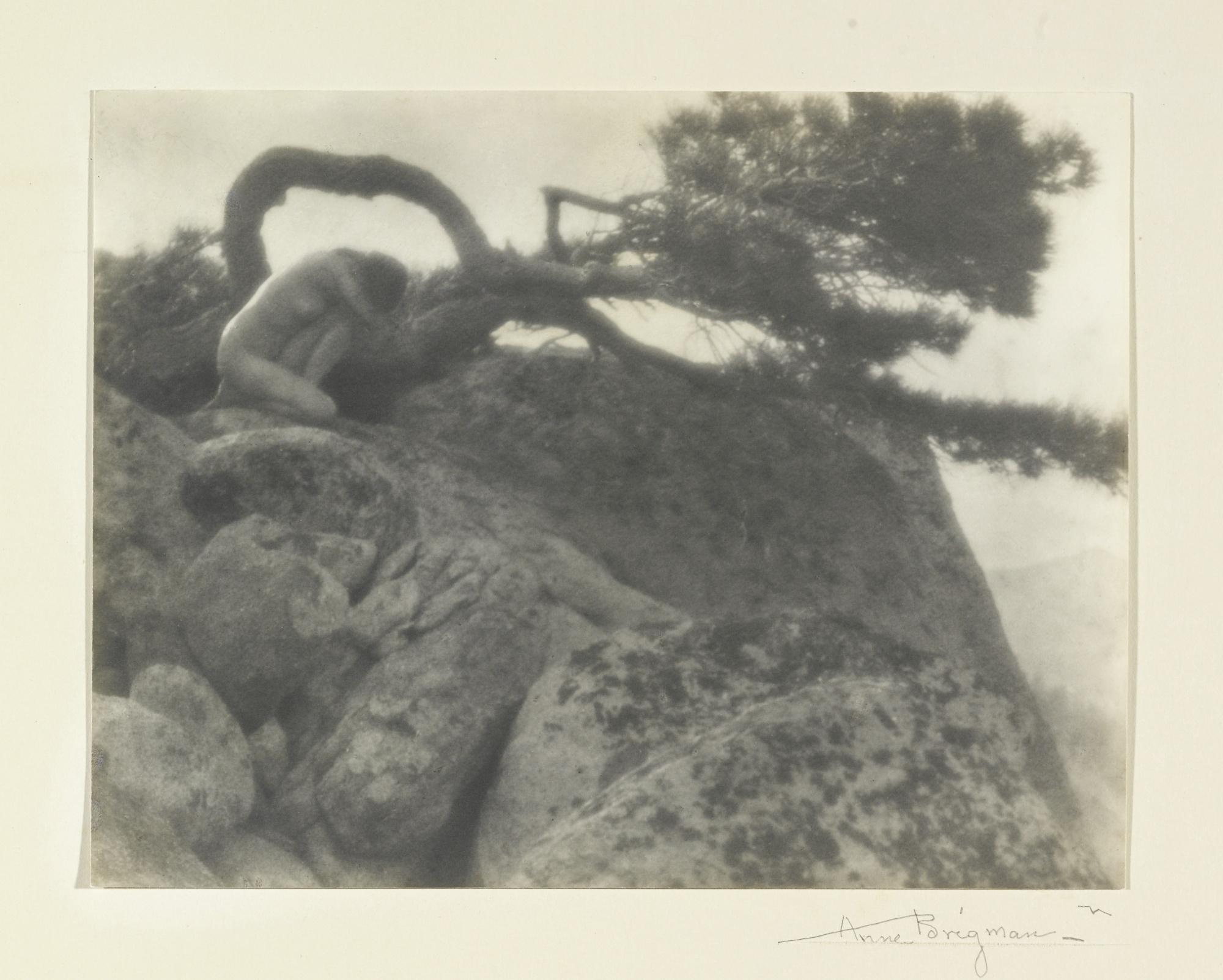Anne W. Brigman - \'The Lone Pine\'