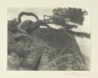 Anne W. Brigman - \'The Lone Pine\'