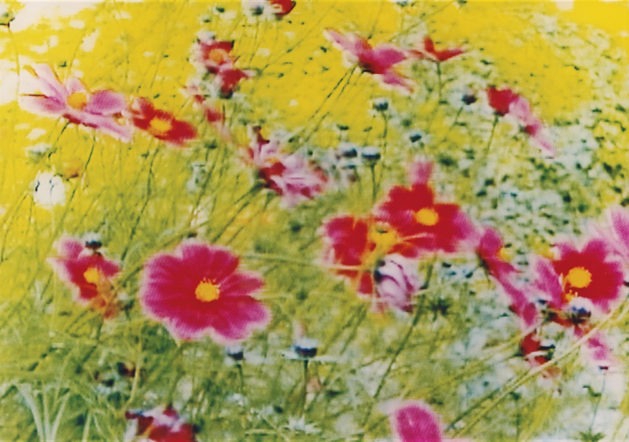 Annelies Trba - An 152, 2002