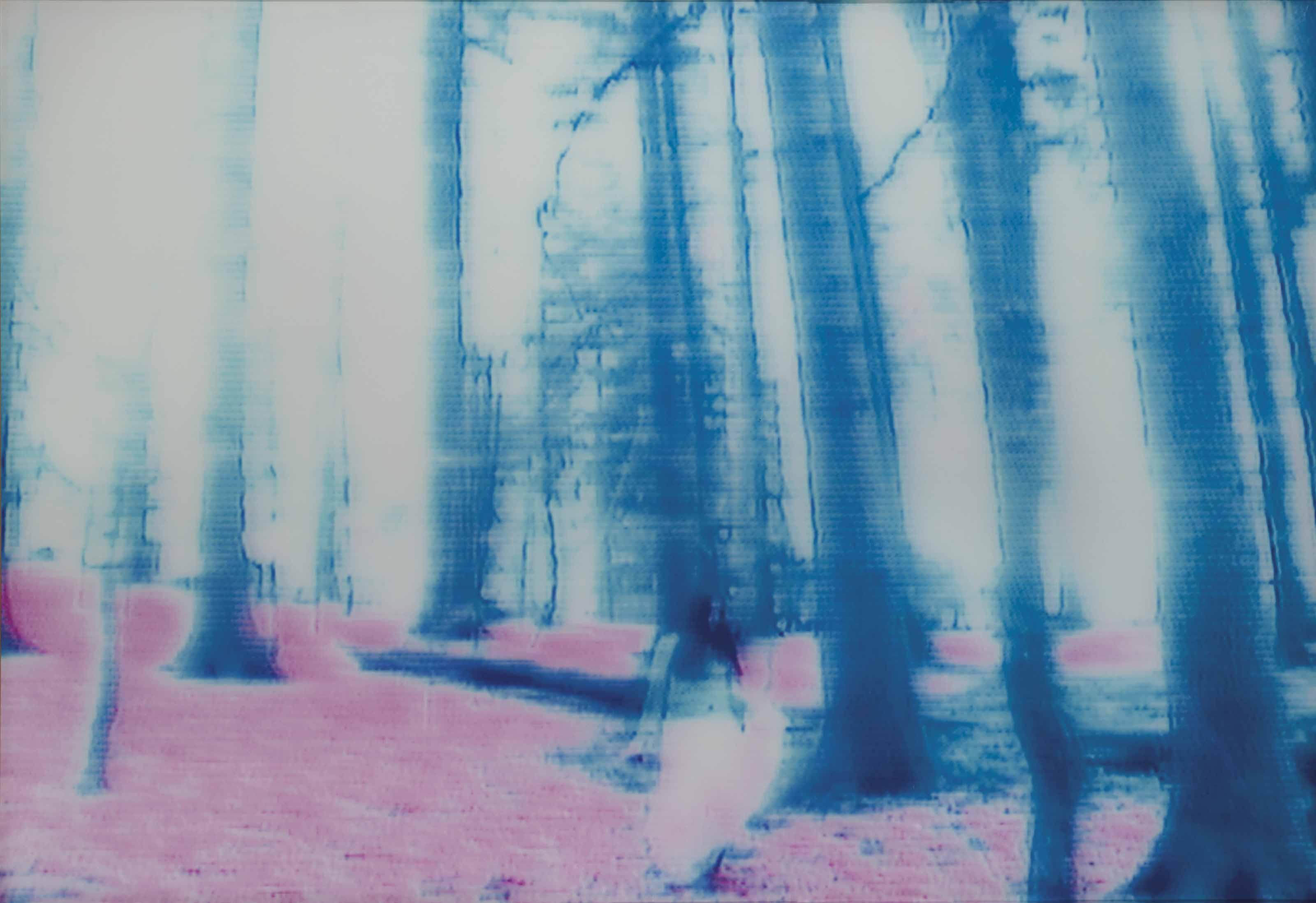 Annelies Strba - Nyima 83, 2003