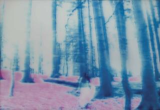 Annelies Strba - Nyima 83, 2003