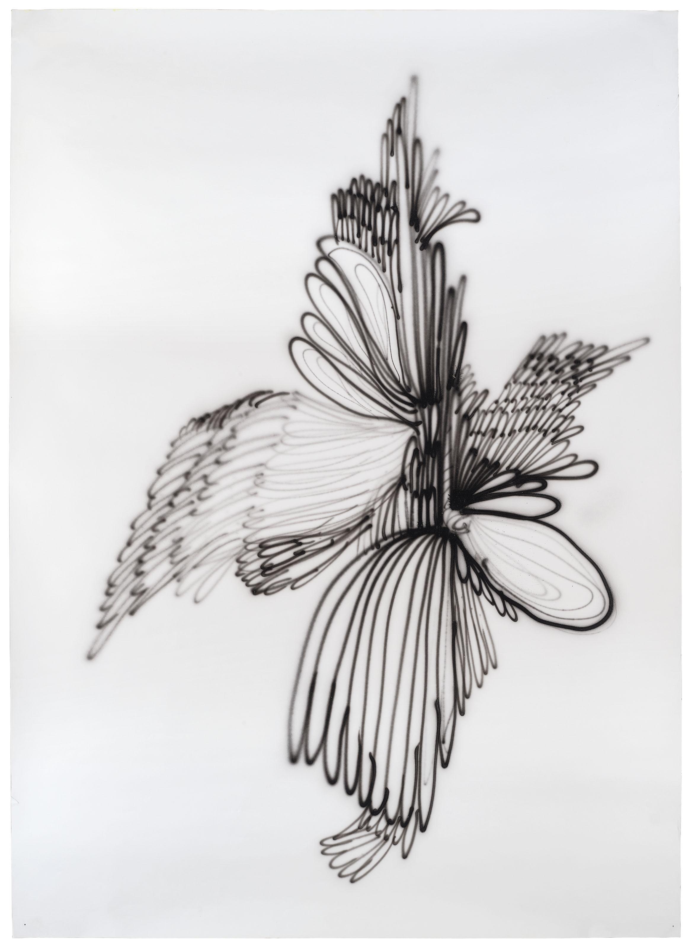 Annelise Coste - Ailée 2