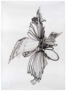 Annelise Coste - Ailée 2