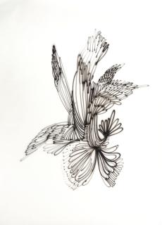 Annelise Coste - Ailée