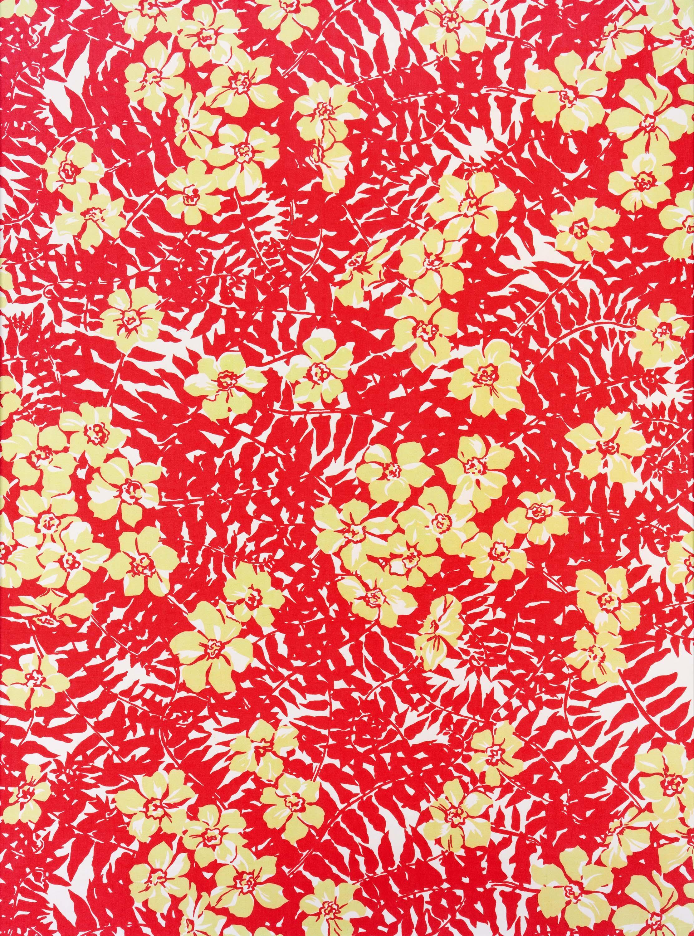 Annette Kelm - Big Print #2 (Maui Fern).