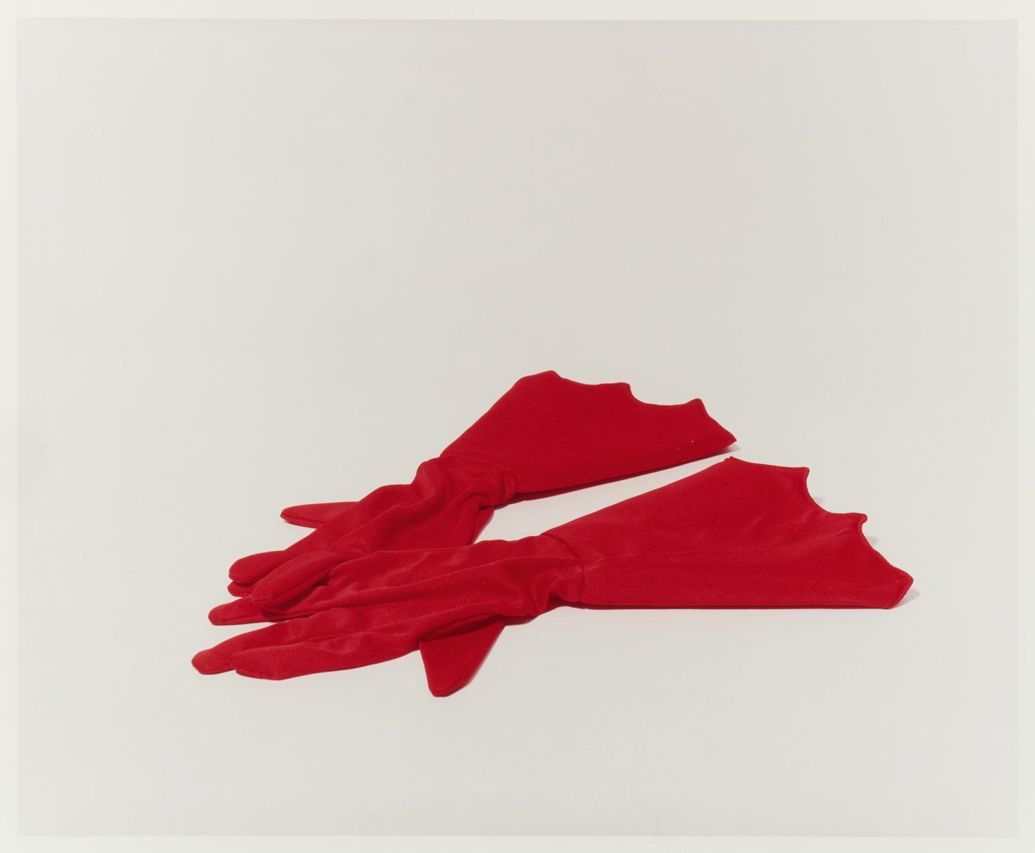 Annette Kelm - Ohne Titel (Spider gloves).