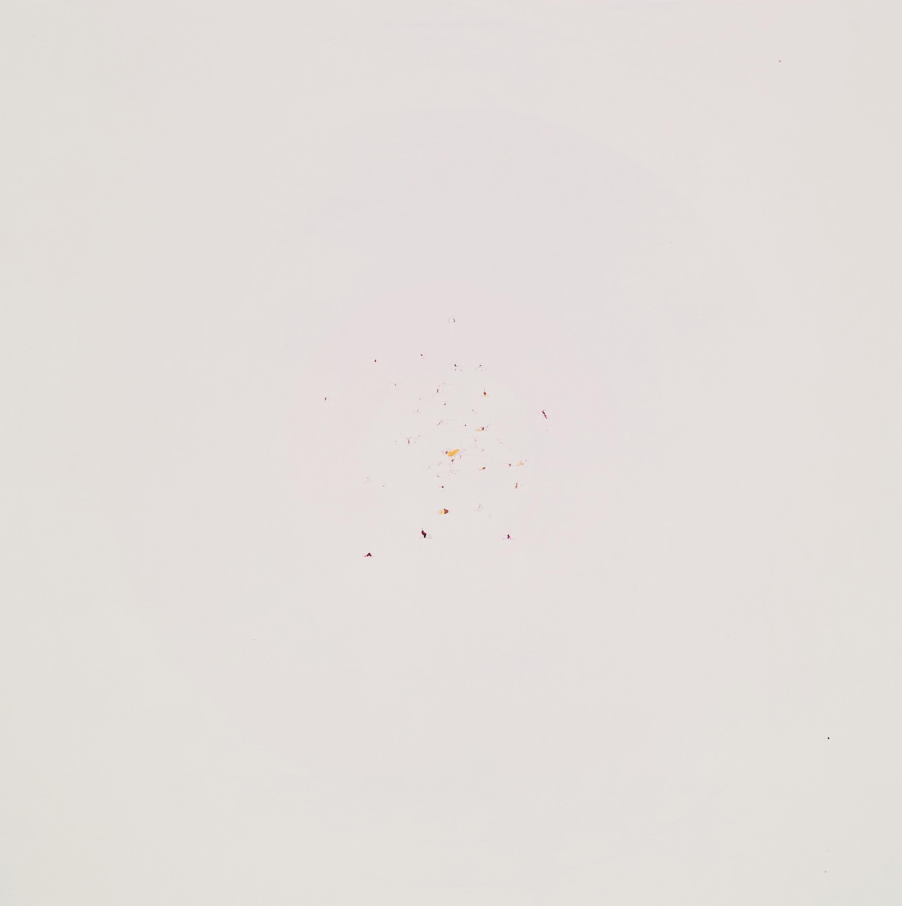 Annette Kelm - Ohne Titel (White Target).