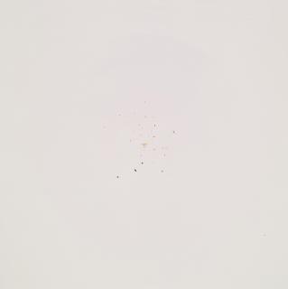 Annette Kelm - Ohne Titel (White Target).