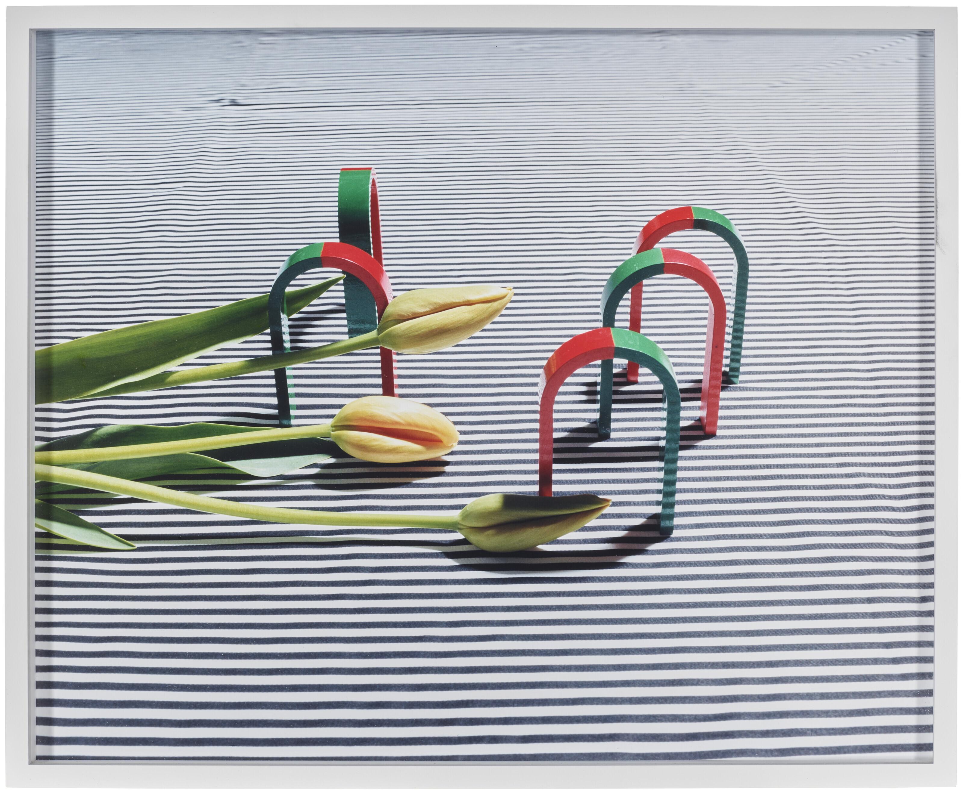 Annette Kelm - Untitled, 2013