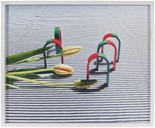 Annette Kelm - Untitled, 2013