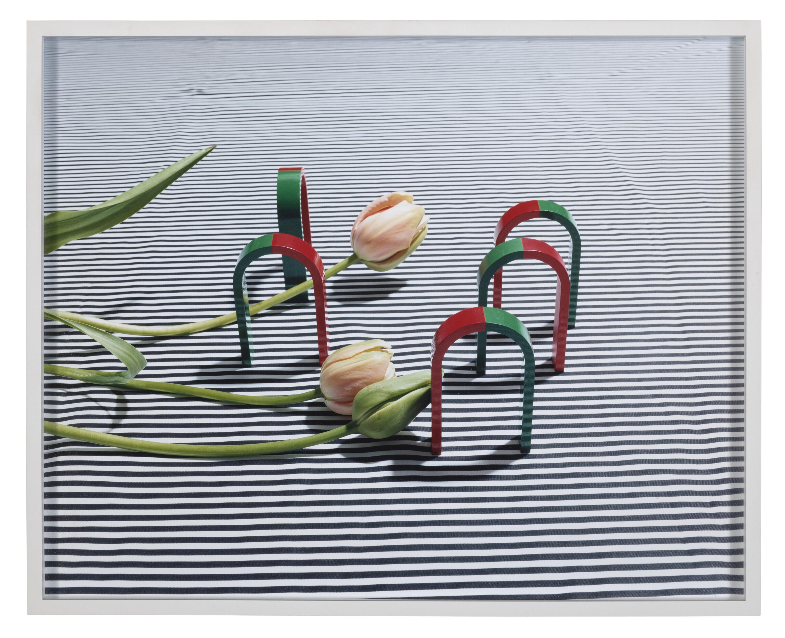 Annette Kelm - Untitled, 2013