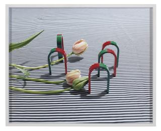 Annette Kelm - Untitled, 2013