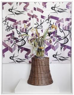 Annette Kelm - Untitled