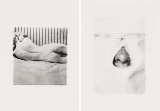 Annette Messager - Les Tortures Volontaires (1972), 2013