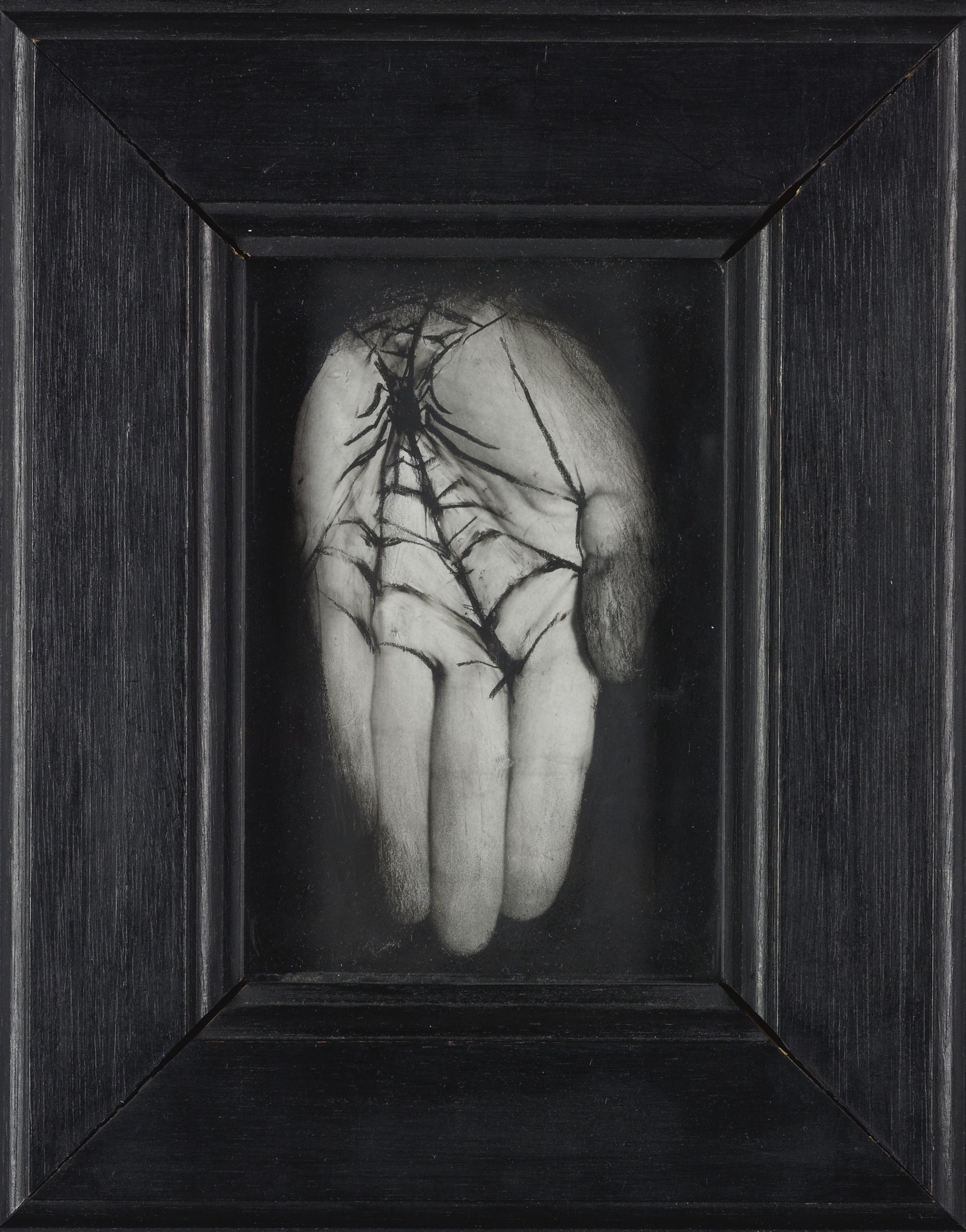 Annette Messager - Mes Trophées