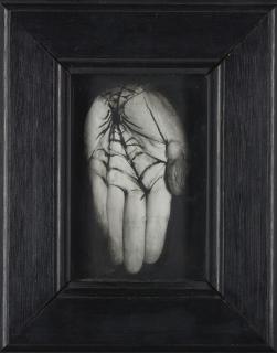 Annette Messager - Mes Trophées