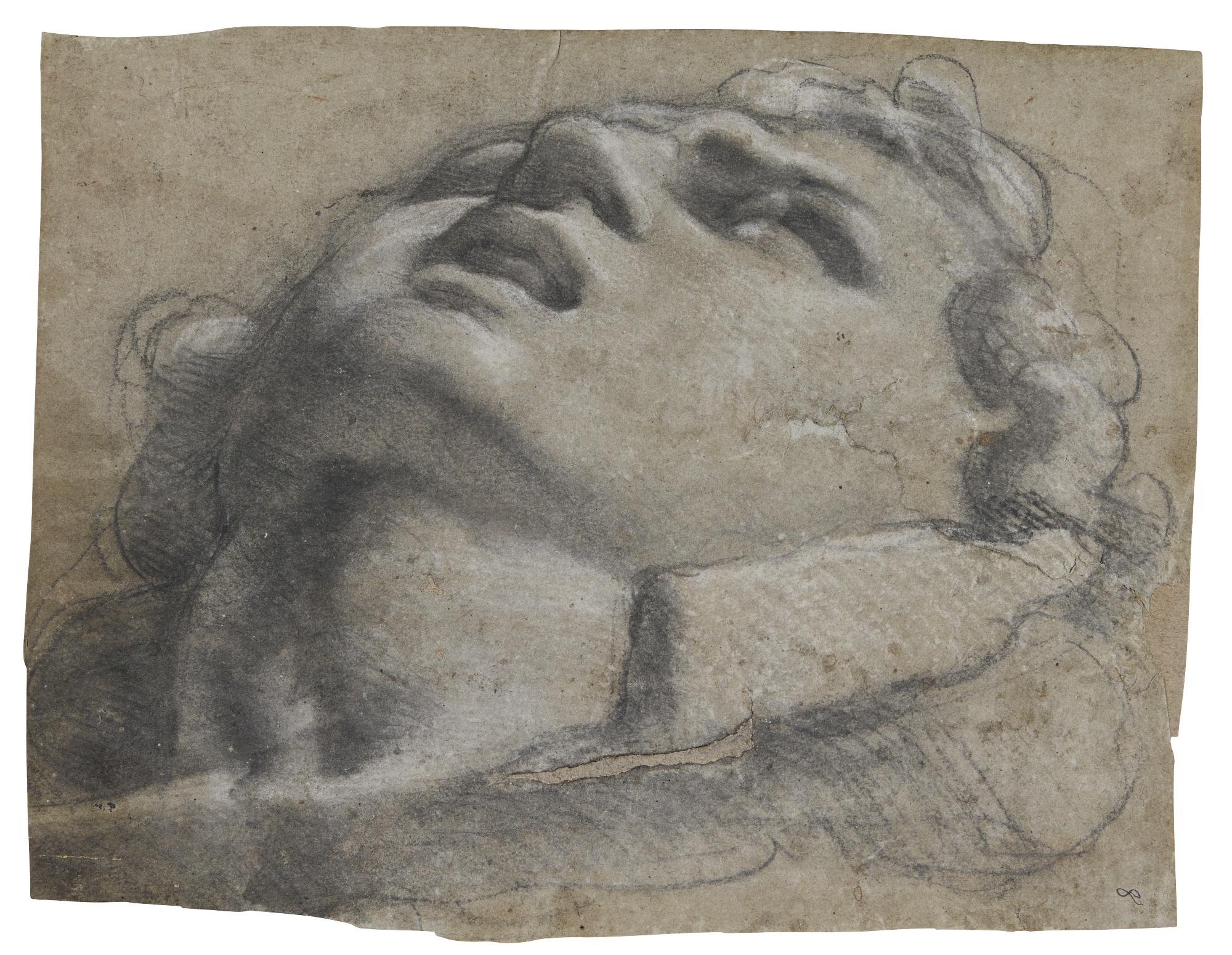 Annibale Carracci - Study Of A Head, Possibly After The Antique 