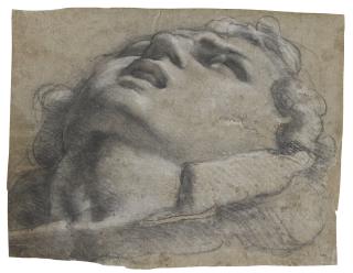 Annibale Carracci - Study Of A Head, Possibly After The Antique 