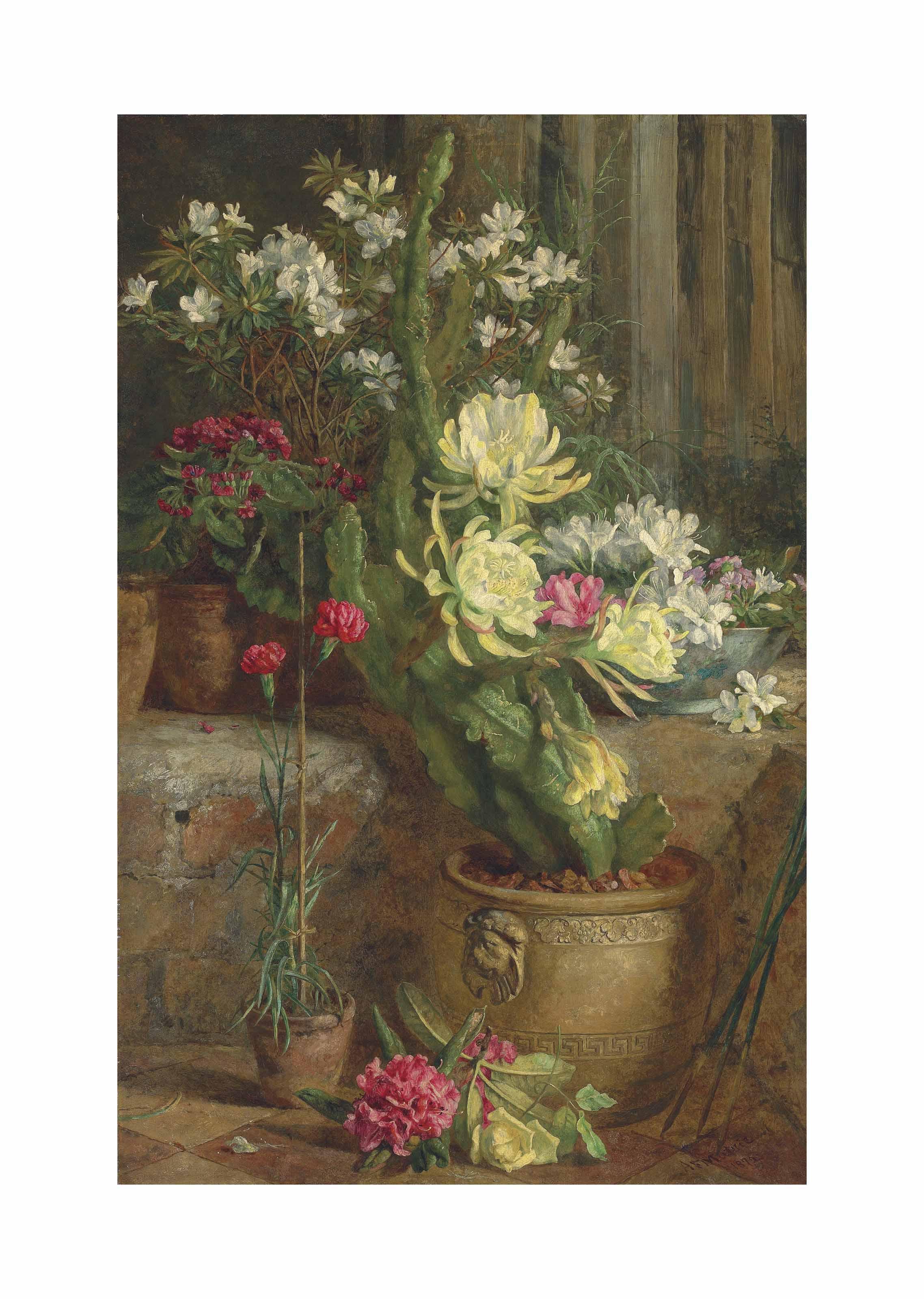 Annie Feray Mutrie - The flowering cactus
